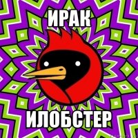 ирак илобстер