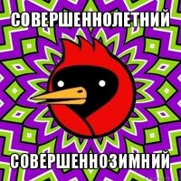 совершеннолетний совершеннозимний