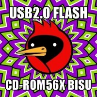 usb2.0 flash cd-rom56x bisu