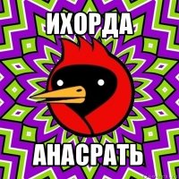 ихорда анасрать