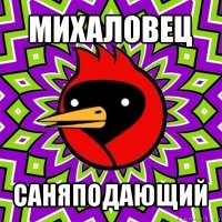 михаловец саняподающий