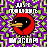 добро пожаловать на эсхар!