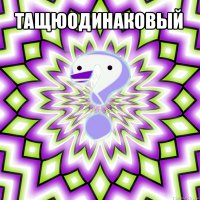 тащюодинаковый 