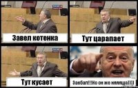 Завел котенка Тут царапает Тут кусает Заебал!!!Но он же няяяша))))