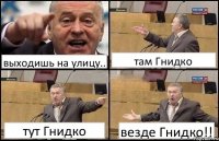 выходишь на улицу.. там Гнидко тут Гнидко везде Гнидко!!