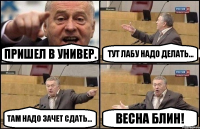 Пришел в универ. Тут лабу надо делать... Там надо зачет сдать... Весна блин!