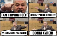 там птичка поёт! здесь травка зеленеет! тут солнышко в глаз ебашет! весна хуле!!!