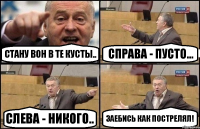 Стану вон в те кусты.. Справа - пусто... Слева - никого.. Заебись как пострелял!