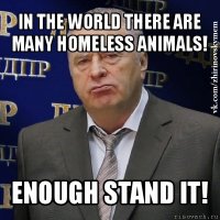 in the world there are many homeless animals! enough stand it!