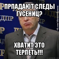 прпадают следы гусениц? хватит это терпеть!!!