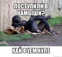 поступили в камыши? кайфуем хуле