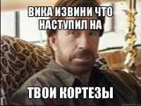 вика извини что наступил на твои кортезы