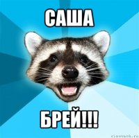 саша брей!!!