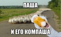 паша и его компаша