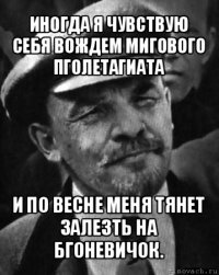 иногда я чувствую себя вождем мигового пголетагиата и по весне меня тянет залезть на бгоневичок.