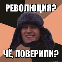 революция? чё, поверили?