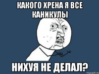 какого хрена я все каникулы нихуя не делал?