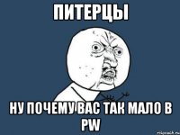 питерцы ну почему вас так мало в pw