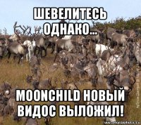 шевелитесь однако... moonchild новый видос выложил!