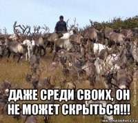  даже среди своих, он не может скрыться!!!