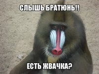 слышь братюнь!! есть жвачка?