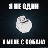 я не один у мене є собака