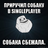 приручил собаку в singleplayer собака сбежала.