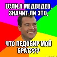 если,я медведев, значит ли это, что педобир мой брат???