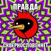 правда сквернословеннет