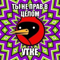 ты не прав в целом утке