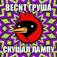 весит груша скушал лампу