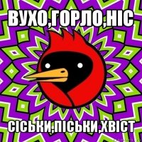 вухо,горло,ніс сіськи,піськи,хвіст