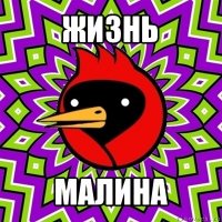 жизнь малина