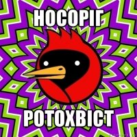 носоріг ротохвіст