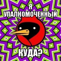 я упалномоченный куда?