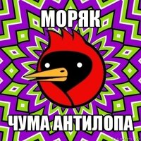 моряк чума антилопа