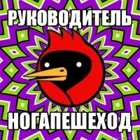 руководитель ногапешеход