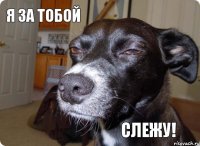 Я за тобой слежу!