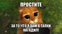 простите за то,что я вам в тапки нагадил!