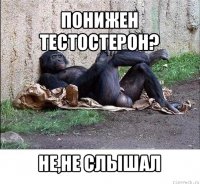 понижен тестостерон? не,не слышал