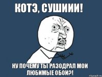 котэ, сушиии! ну почему ты разодрал мои любимые обои?!