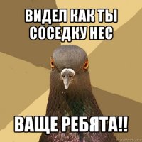 видел как ты соседку нес ваще ребята!!