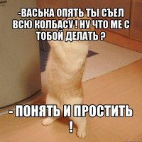 -васька опять ты съел всю колбасу ! ну что ме с тобой делать ? - понять и простить !