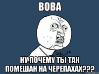 вова ну почему ты так помешан на черепахах???