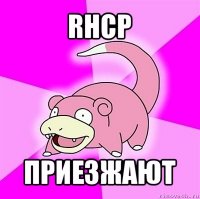 rhcp приезжают