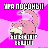 ура посоны! белый тигр вышел!