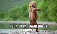  носа, носа- таблетка от паноса!!!