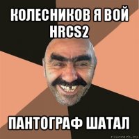 колесников я вой hrcs2 пантограф шатал