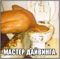  мастер дайвинга.