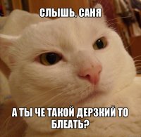 слышь, саня а ты че такой дерзкий то блеать?